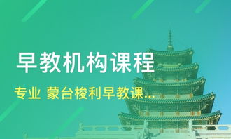天津早期教育機構(gòu)概覽 喜童、新愛嬰與淘學(xué)培訓(xùn)淺析